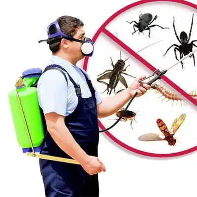 pest control Pearlington